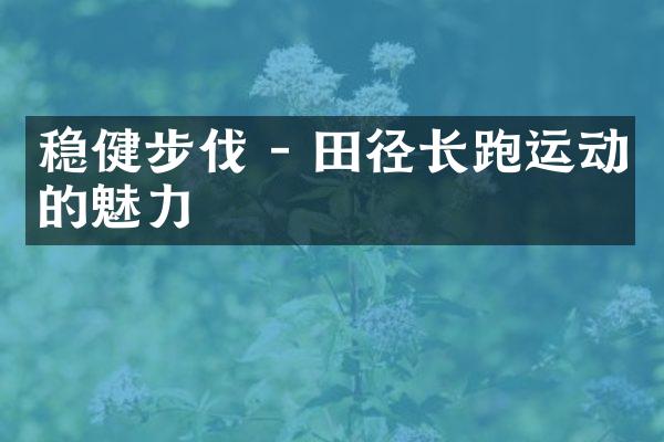 稳健步伐 - 田径长跑运动的魅力