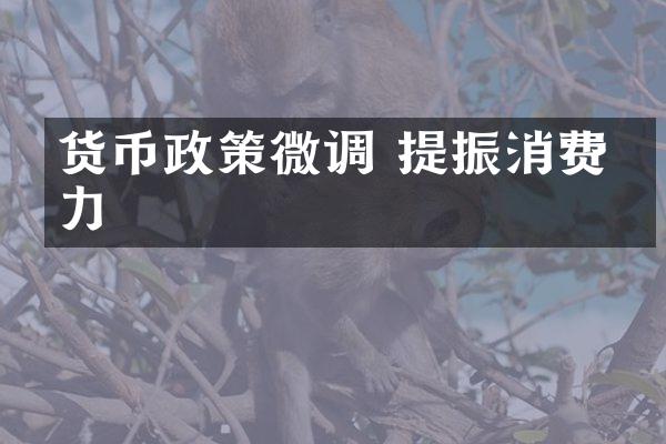 货币政策微调 提振消费潜力