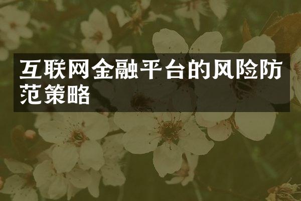 互联网金融平台的风险防范策略