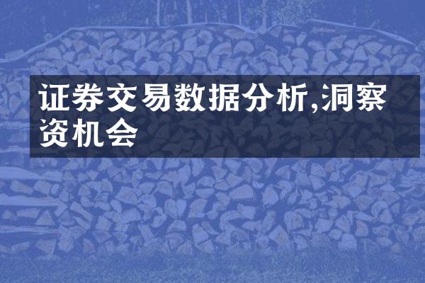 证券交易数据分析,洞察投资机会