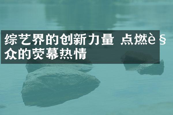 综艺界的创新力量 点燃观众的荧幕热情