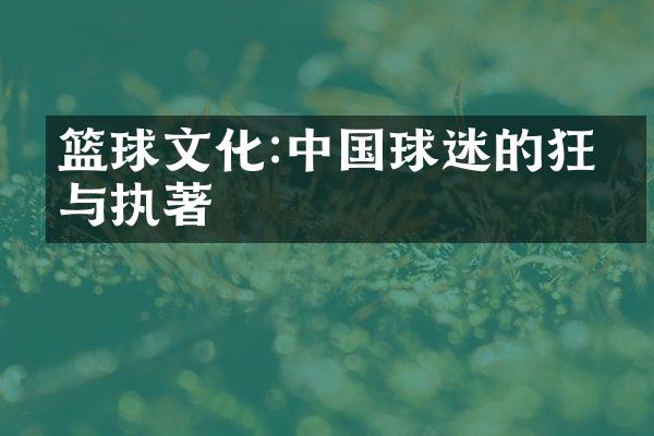 篮球文化:球迷的狂热与执著