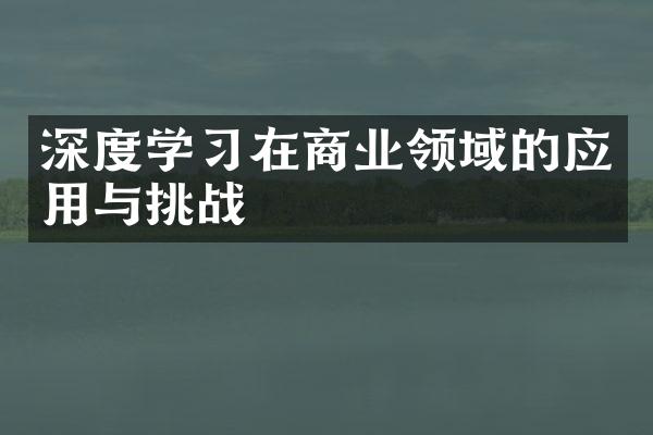 深度学习在商业领域的应用与挑战