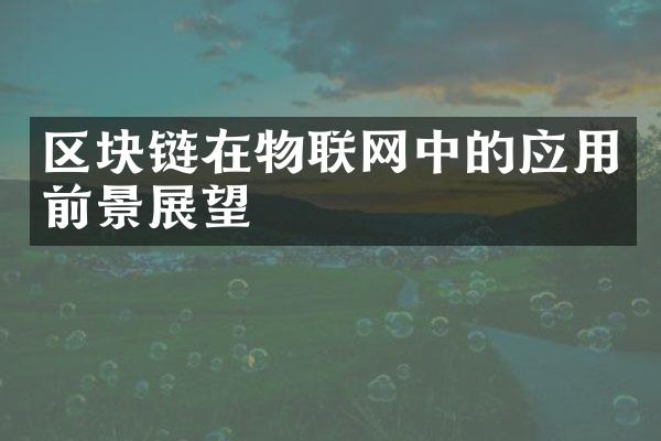 区块链在物联网中的应用前景展望