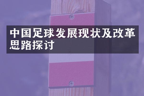 中国足球发展现状及改革思路探讨