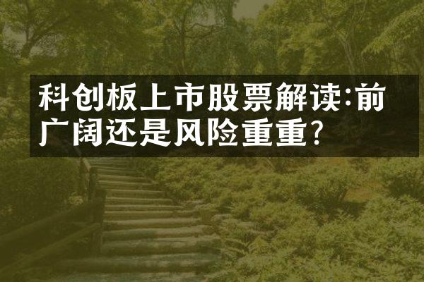 科创板上市股票解读:前景广阔还是风险重重?