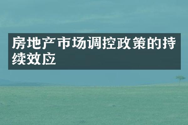 房地产市场调控政策的持续效应