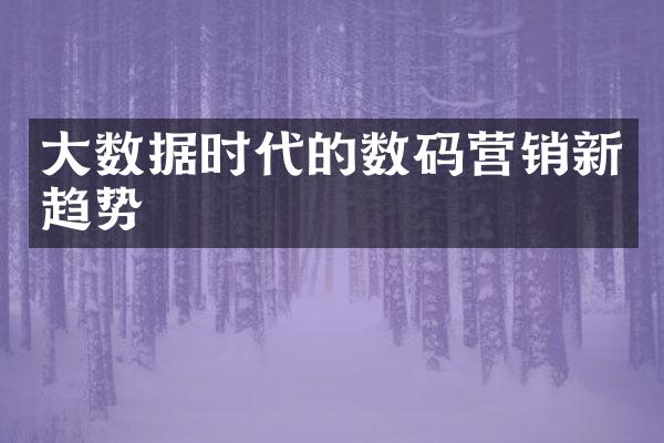 大数据时代的数码营销新趋势