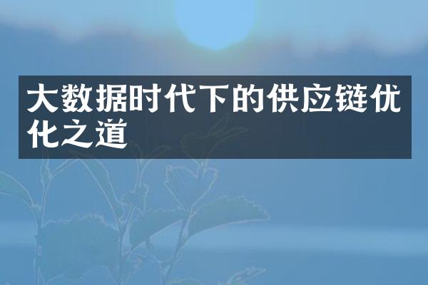 大数据时代下的供应链优化之道