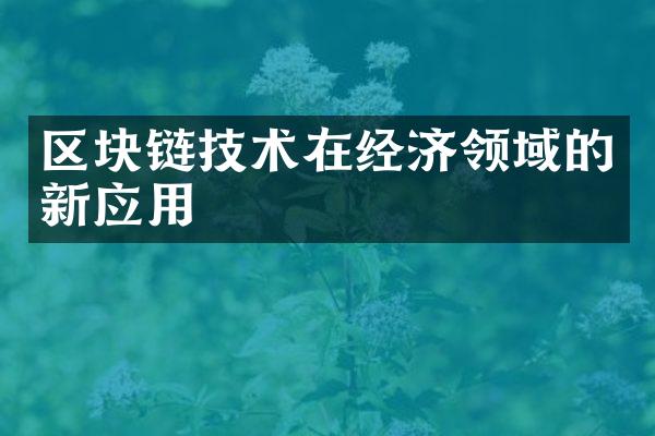 区块链技术在经济领域的新应用