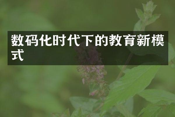 数码化时代下的教育新模式