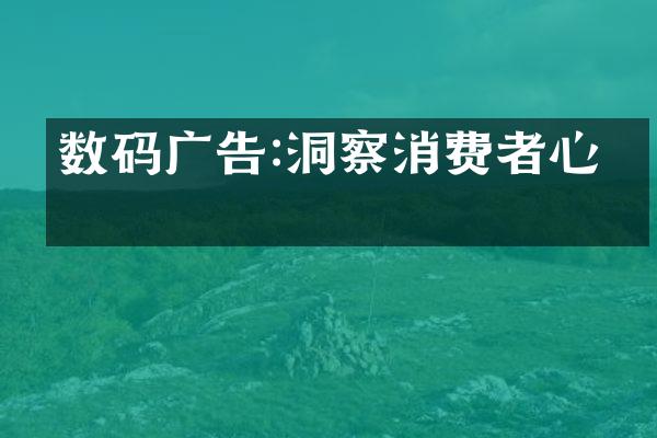 数码广告:洞察消费者心智