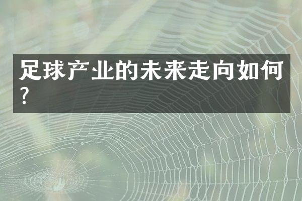 足球产业的未来走向如何?