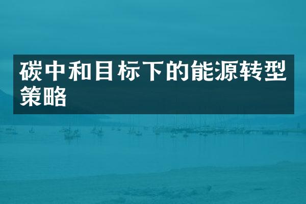 碳中和目标下的能源转型策略