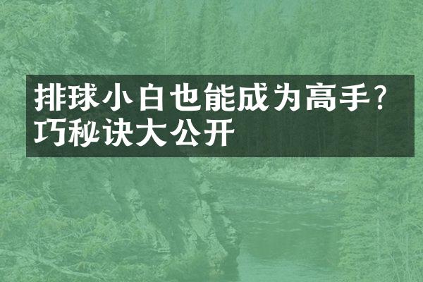 排球小白也能成为高手?技巧秘诀大公开