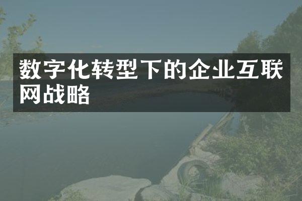 数字化转型下的企业互联网