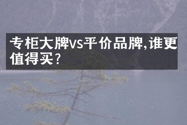 专柜牌vs平价品牌,谁更值得买?