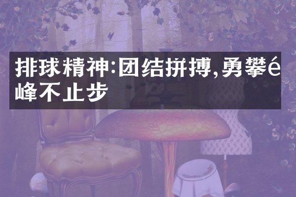 排球精神:团结拼搏,勇攀高峰不止步