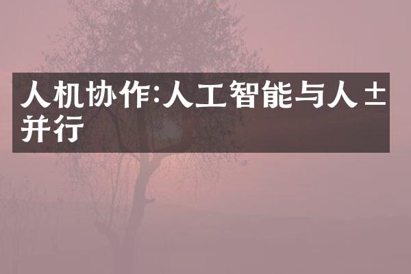 人机协作:人工智能与人类并行