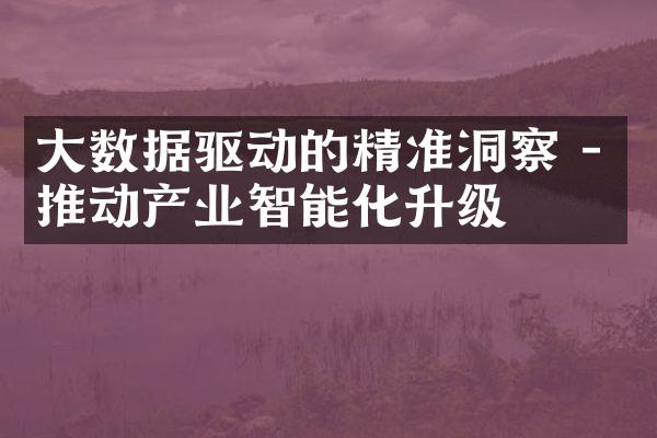 大数据驱动的精准洞察 - 推动产业智能化升级