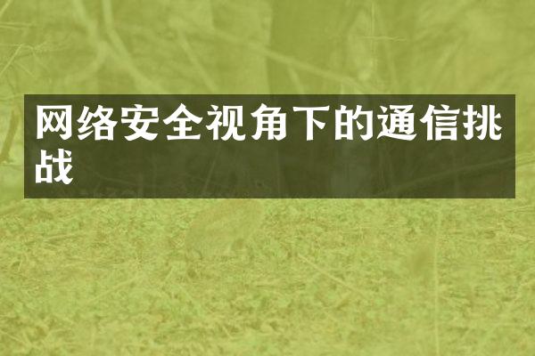 网络安全视角下的通信挑战