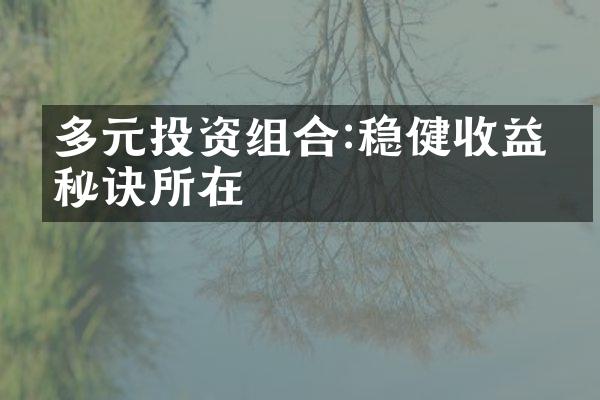 多元投资组合:稳健收益的秘诀所在