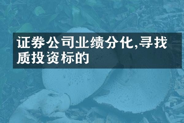 证券公司业绩分化,寻找优质投资标的