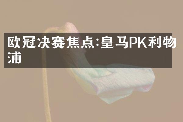 欧冠决赛焦点:皇马PK利物浦