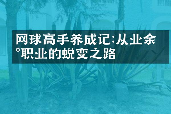 网球高手养成记:从业余到职业的蜕变之路