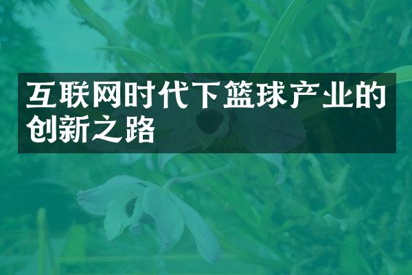 互联网时代下篮球产业的创新之路