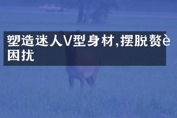 塑造迷人V型身材,摆脱赘肉困扰