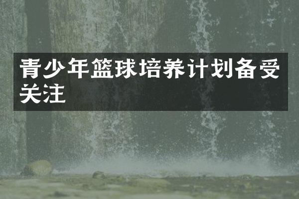 青少年篮球培养计划备受关注