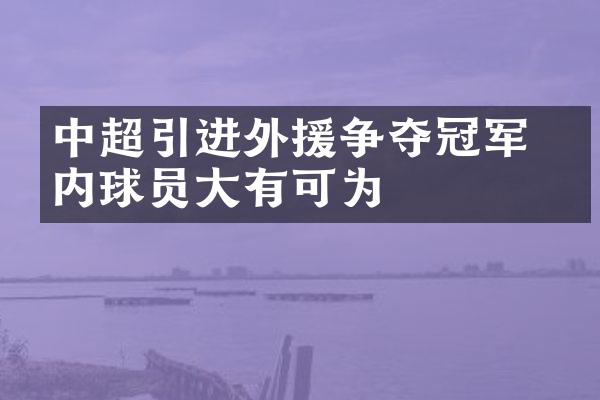 中超引进外援争夺冠军 国内球员大有可为