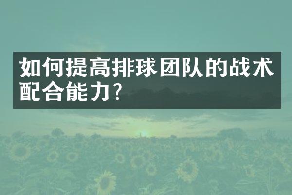 如何提高排球团队的战术配合能力?