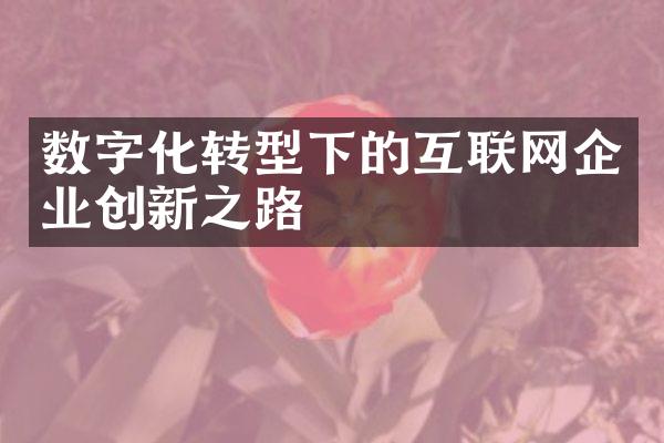 数字化转型下的互联网企业创新之路