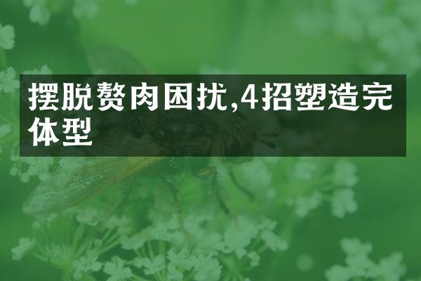 摆脱赘肉困扰,4招塑造完美体型