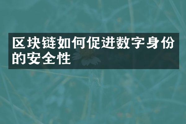 区块链如何促进数字身份的安全性