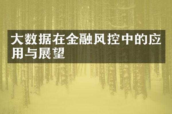 大数据在金融风控中的应用与展望