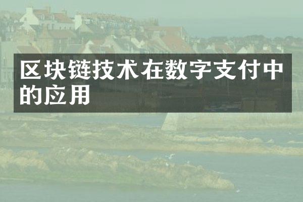 区块链技术在数字支付中的应用