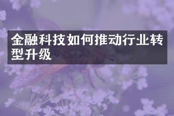 金融科技如何推动行业转型升级