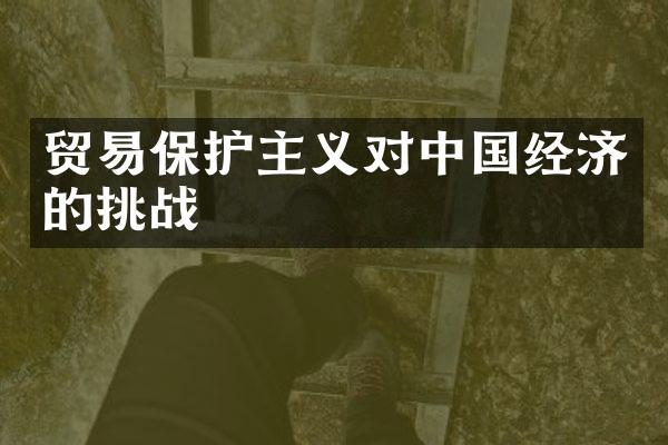 贸易保护主义对中国经济的挑战