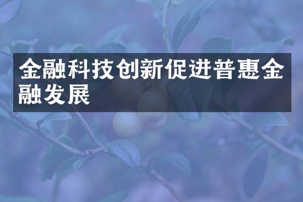 金融科技创新促进普惠金融发展