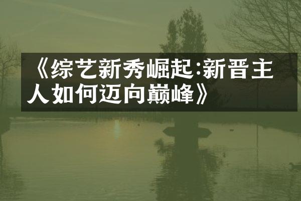 《综艺新秀崛起:新晋主持人如何迈向巅峰》