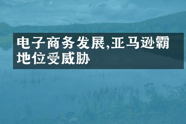 电子商务发展,亚马逊霸主地位受威胁