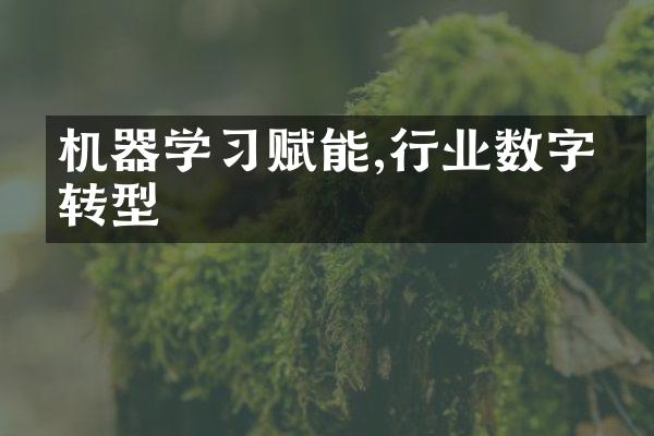 机器学习赋能,行业数字化转型