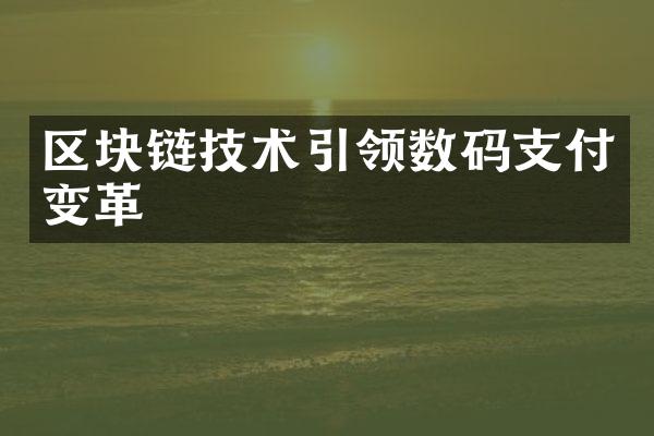 区块链技术引领数码支付变革