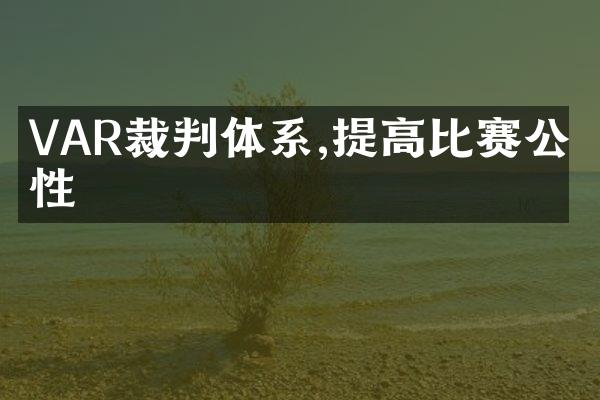 VAR裁判体系,提高比赛公平性