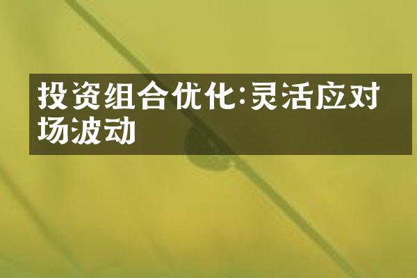 投资组合优化:灵活应对市场波动