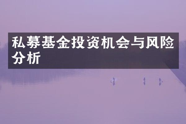 私募基金投资机会与风险分析