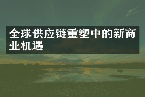 全球供应链重塑中的新商业机遇